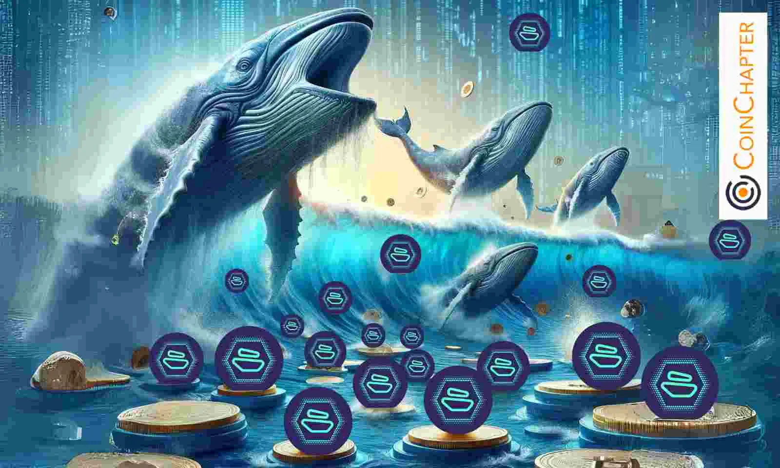 Are Whales Actually Accumulating Zebec Network (ZBCN) Token? Here’…