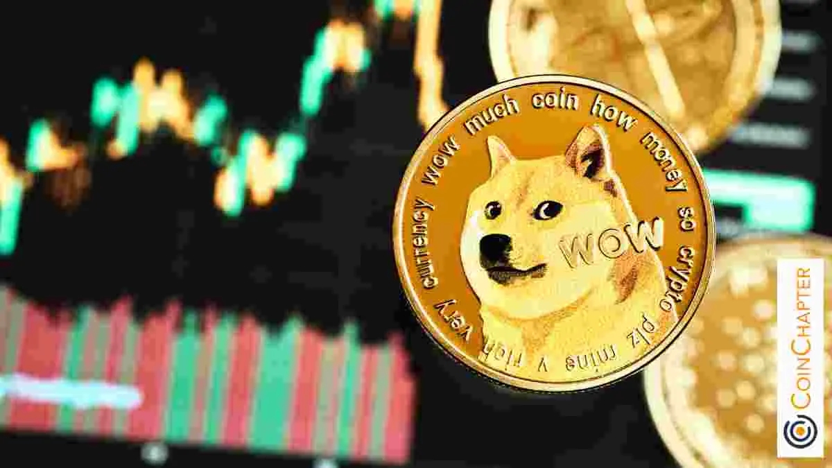 Dogecoin (DOGE) Analyst Says Bull Run Has Yet to Start