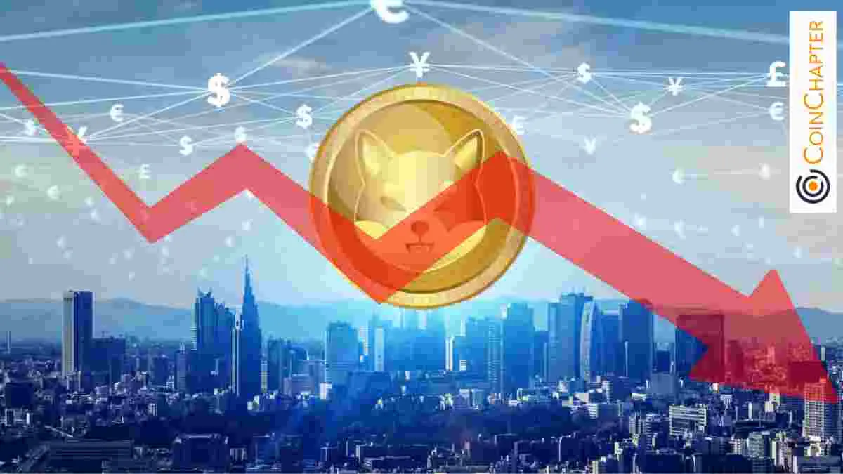 Forget the Dip: This Is the Worst Time to Buy Shiba Inu (SHIB) Coin