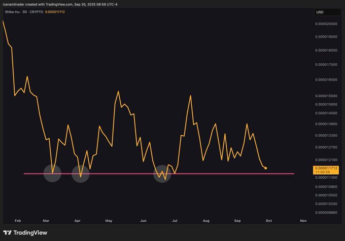 Shiba Inu Rebound Zone Chart. Source: TradingView via TheCryptoBasic on X.
