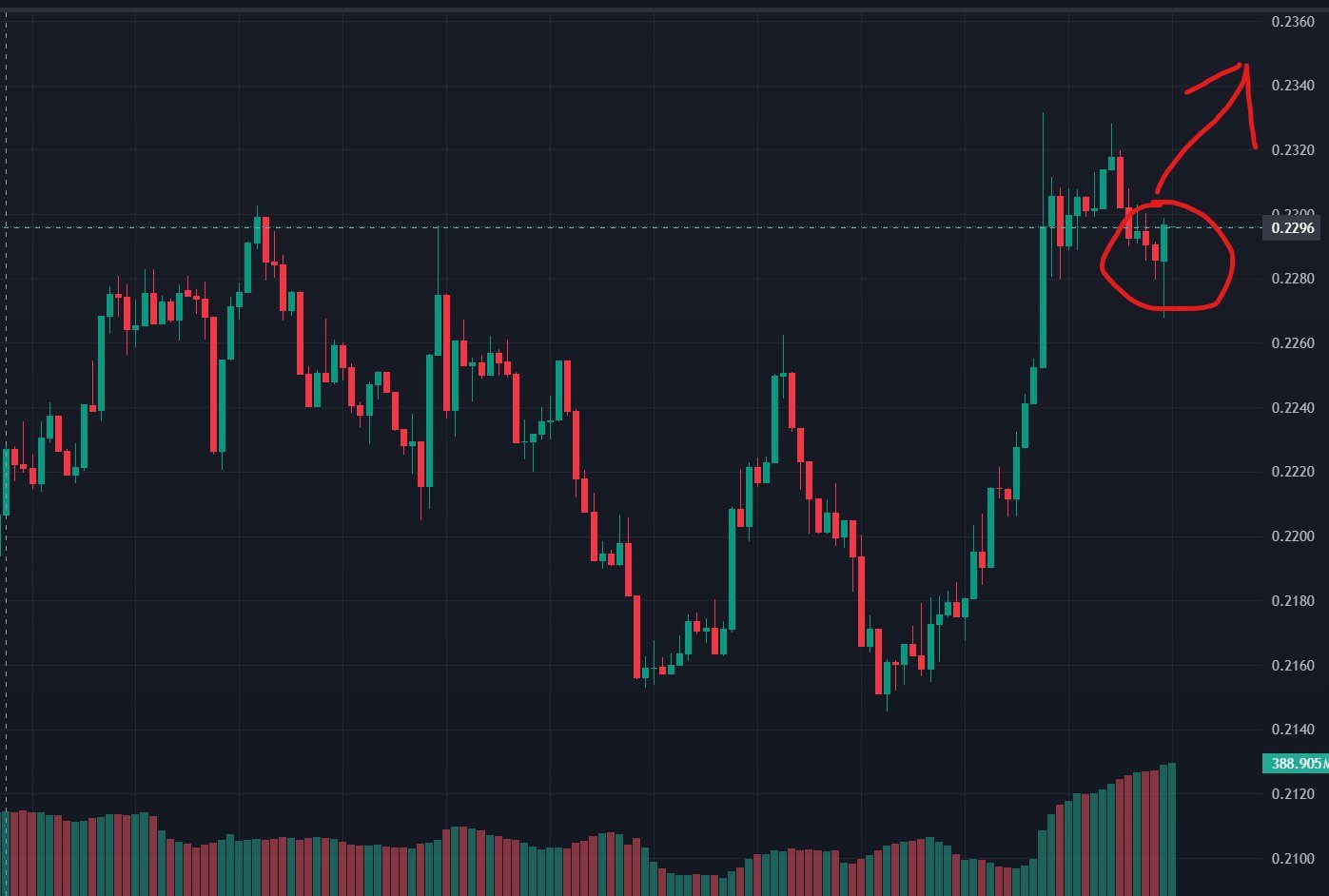 HBAR Intraday Price Action. Source: TradingView