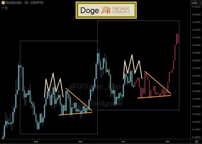 Dogecoin Daily Triangle Breakout Pattern. Source: Trader Tardigrade