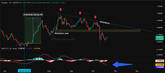 ADA MACD Golden Cross Setup. Source: Lark Davis on X