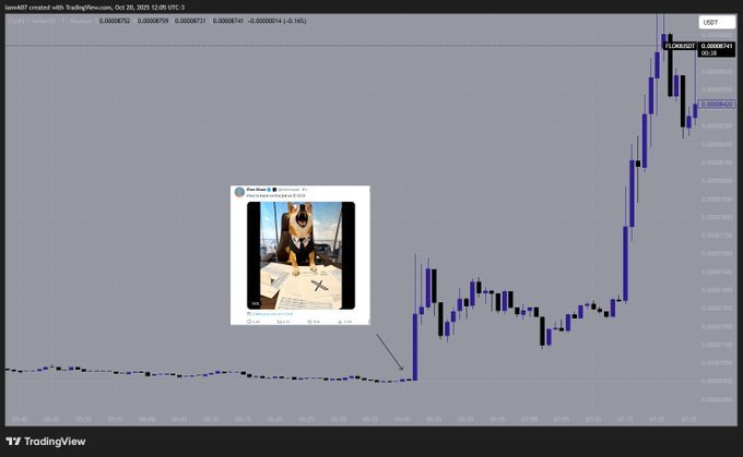 FLOKI Intraday Spike After Musk Post. Source: $0uL on X via TradingView