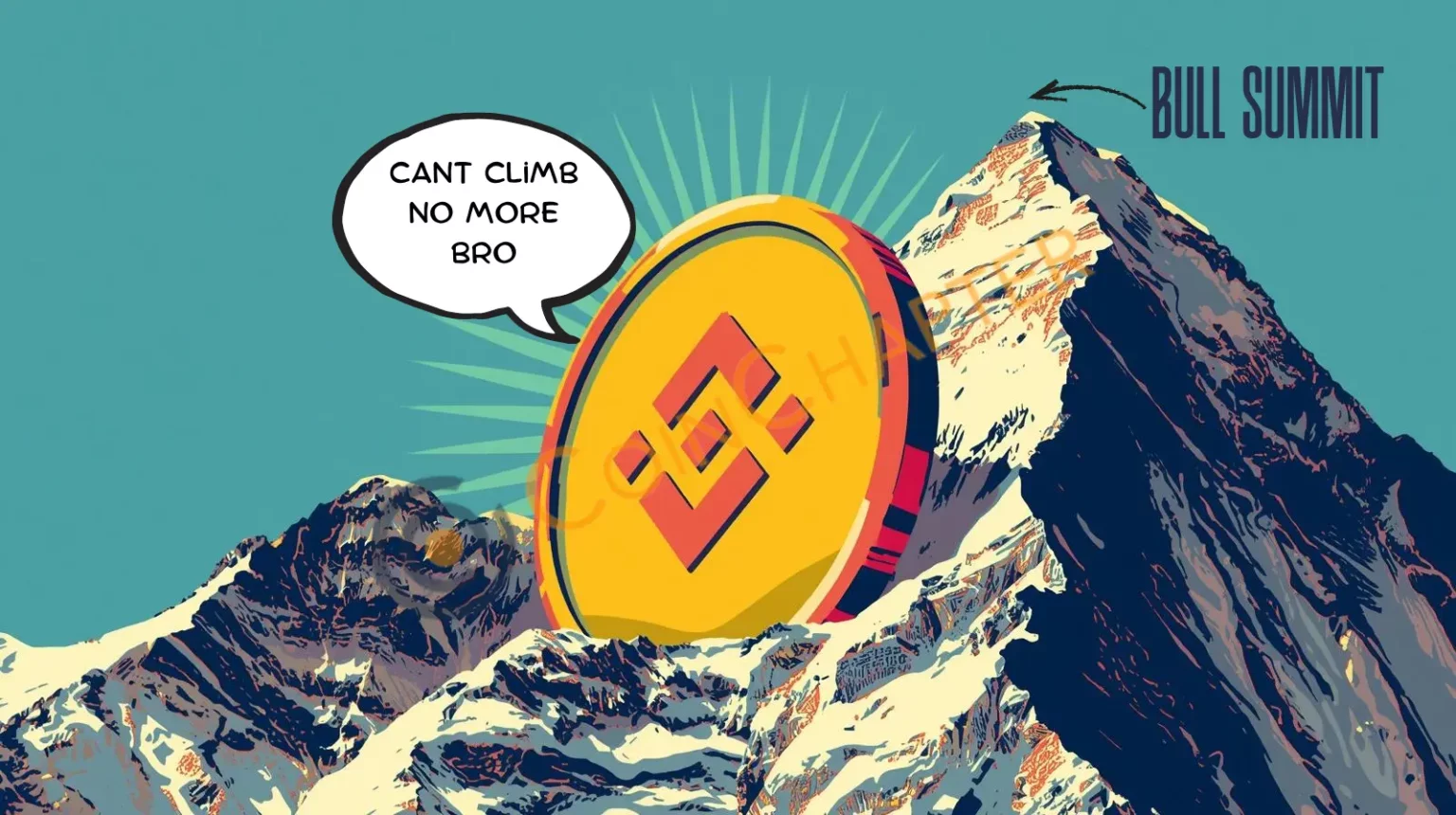 Is BNB topping out concept