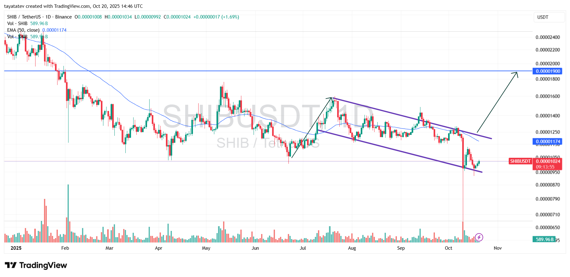 SHIB USDT Daily Bullish Flag. Source: TradingView