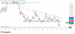 SHIB/USD 1-Day Price Chart