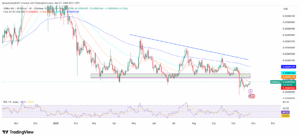 SHIB/USD 1-Day Price Chart