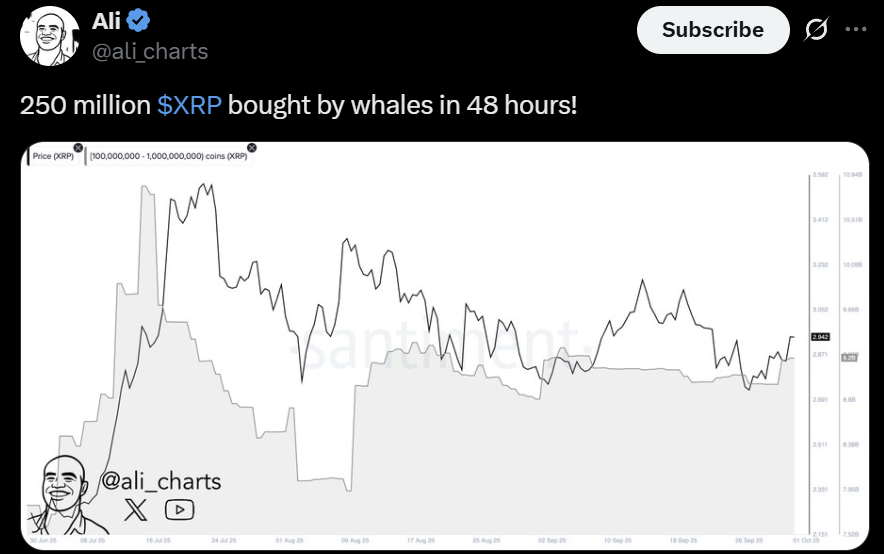 XRP Ripple whales movement
