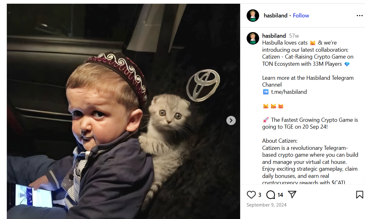 Hasbulla Announces Catizen Collaboration. Source: Hasbiland Instagram