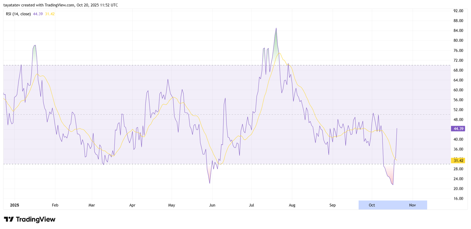 XDCUSD Daily RSI. Source: TradingView