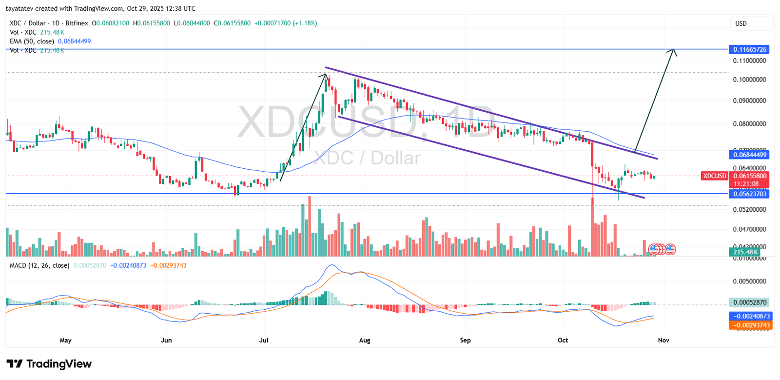 XDCUSD Daily Bullish Flag Setup. Source: TradingView