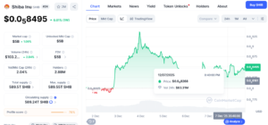 SHIB/USD Daily Price Chart