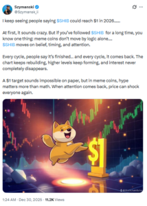 Analyst debate over SHIB reaching $1 or not